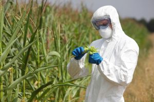 GMO, toxins, herbicides, resistance