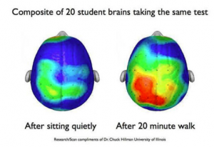 Exercise increases activity of learning centers!