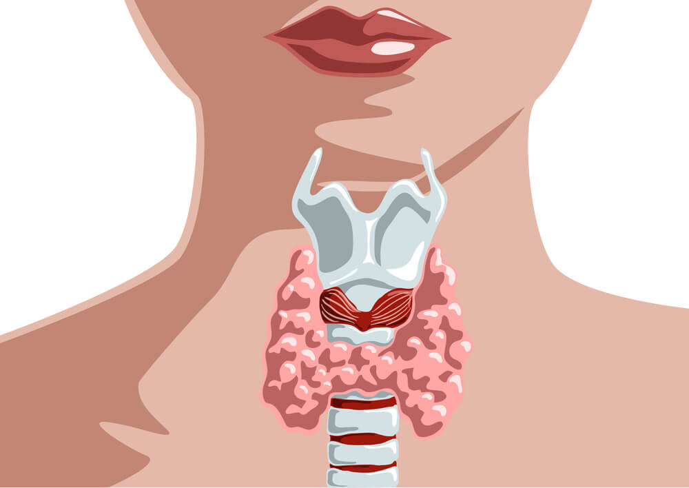 Thyroid Fad: Over-Treatment Based on TSH!